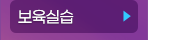 ǽ