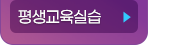 ǽ